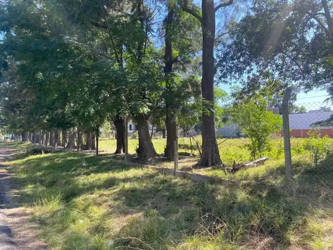 Pampa Y Misiones