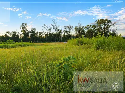 Terreno en Venta 14  mts Frente