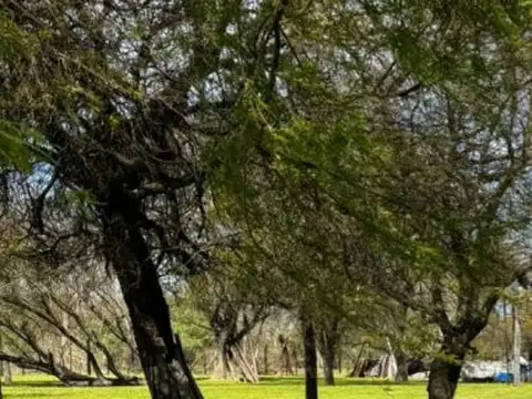 Terreno en Venta 117  mts Fondo