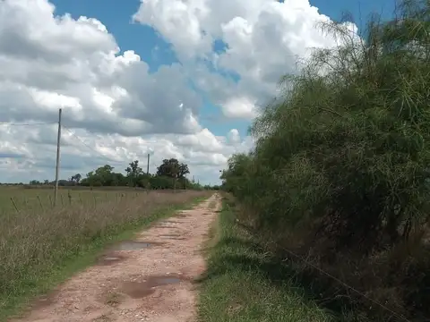 Lote - Venta - Argentina, DOMSELAAR - RUTA 6