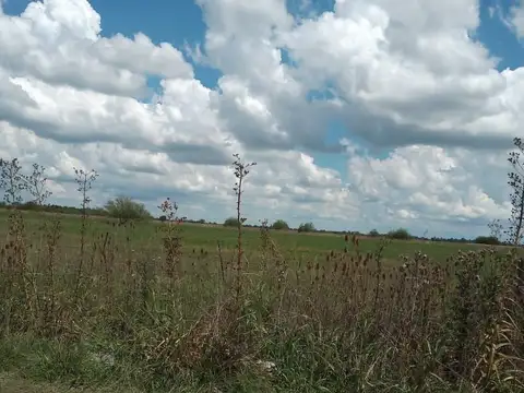 Terreno en Venta de 301010,0 m2