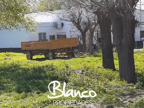 Campo  en Venta en Winifreda, La Pampa
