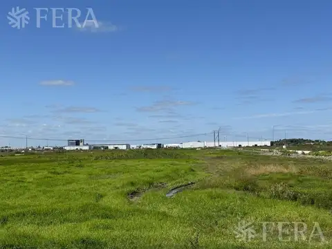 PARQUE TECNOLÓGICO E INDUSTRIAL INTEPARK - LOTE 16