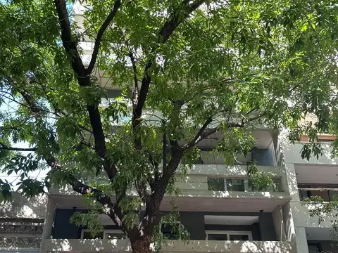 Mono Equipado y con Parrilla - Dsñ Escandinavo