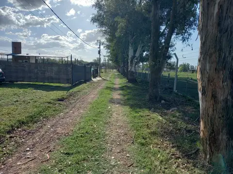 Terreno en Venta de 860,0 m2