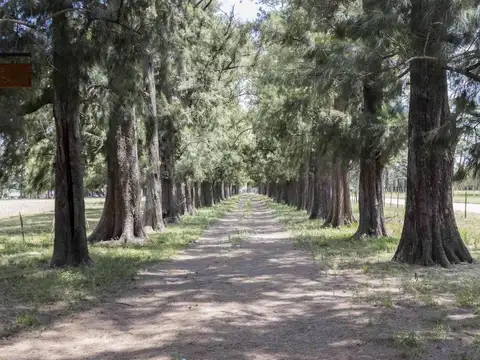 Lotes en Venta en Monte Grande - Esteban Echeverria