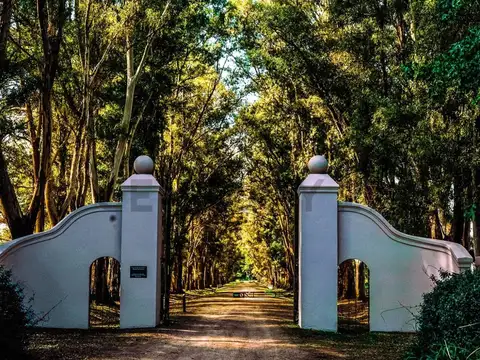 BERNARDINO RIVADAVIA KM 14 100, Piso 0