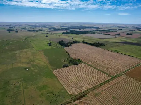 Campo de 83ha en Carlos Keen