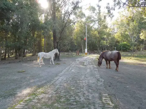 Terreno en Venta de 10000,0 m2