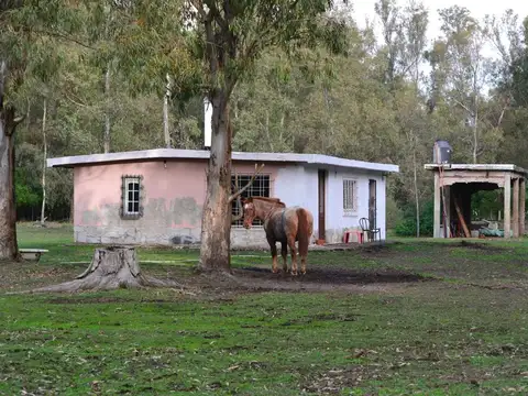 Lote en Chascomús Venta 1 Ha Casa a reciclar