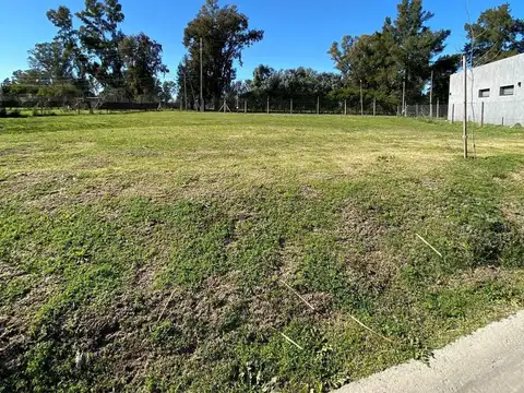 Terreno Lote  en Venta en Santa Elisa, Pilar del Este, Pilar