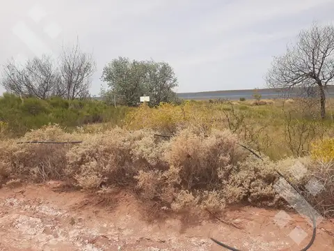 Terreno en Venta 44  mts Fondo