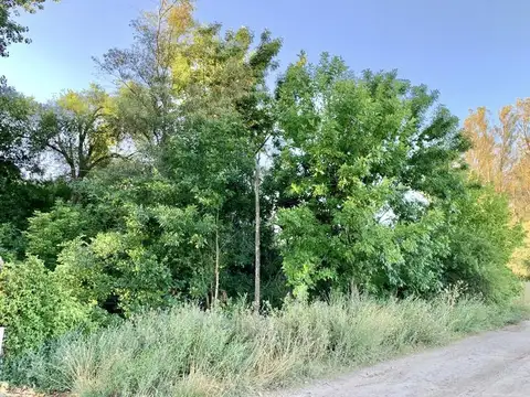 Terreno - Barrio Los Bosquecitos