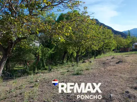 12 de octubre 300