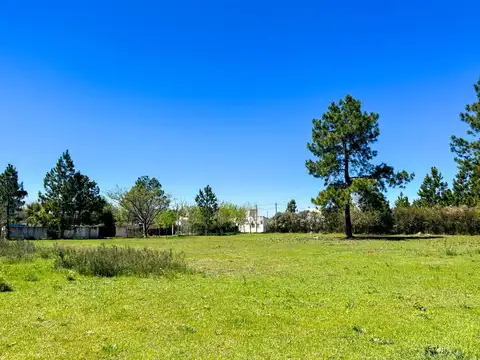 Terreno en Venta de 1971,0 m2