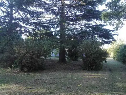 Terreno en Venta en Berisso, USD 125.000