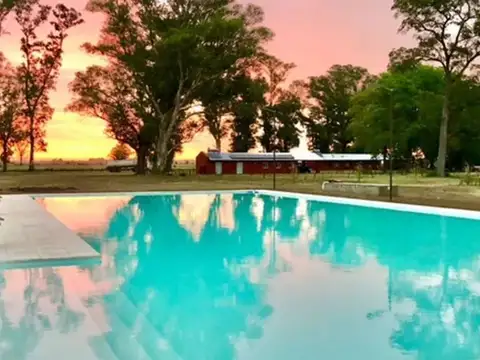 Terreno en Venta en Los Tres Pinos, USD 50.000