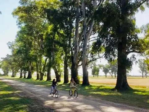 Terreno en Venta de 2000,0 m2