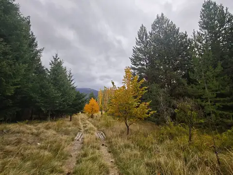 Campo en Venta en Cuesta del Ternero