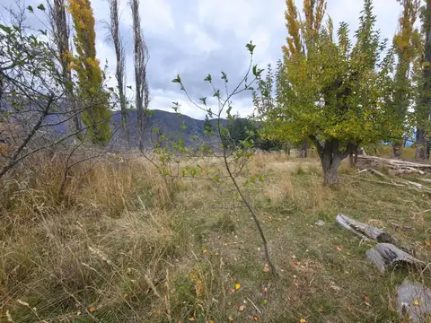 Campo en Venta en Cuesta del Ternero