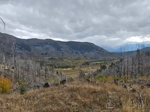 Campo en Venta en Cuesta del Ternero