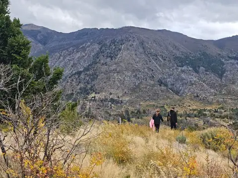 Campo en Venta en Cuesta del Ternero