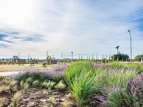 Terreno en Venta de 300,0 m2