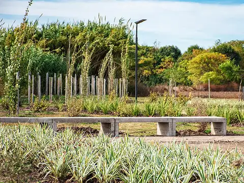 Terreno en Venta 30  mts Fondo