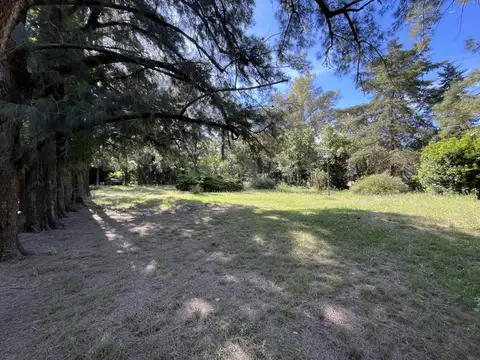 calle 453 entre 133 y 135 100