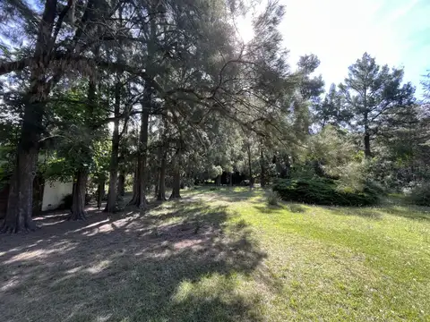 Terreno - Venta - Argentina, City Bell - calle 453 entre 133 y 135