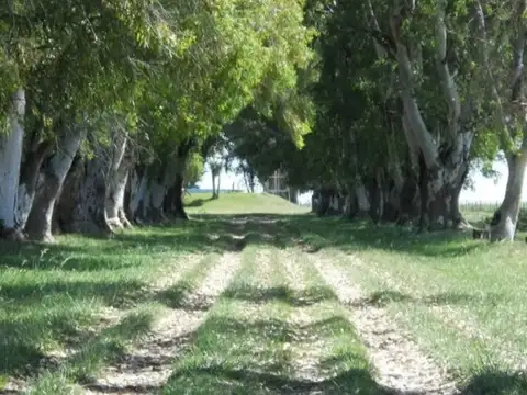Terreno en Venta en Amarylis, USD 25.000