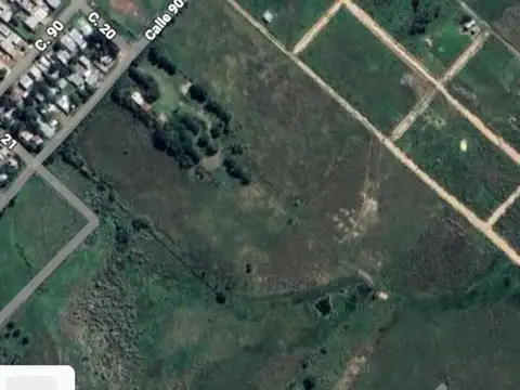 4 HECTAREAS EN VENTA 90 E/ 20 y 21