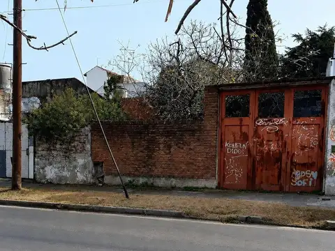 Bulnes 100