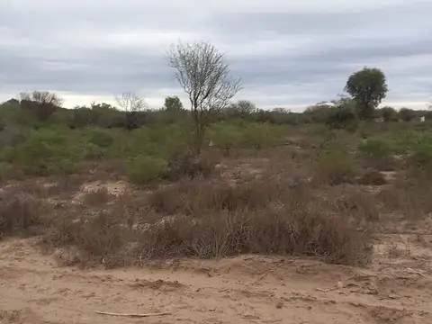 Terreno en Venta en San Luis, Juan Martín de Pueyrredón