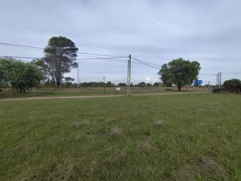 Terreno en Alquiler de 4500,0 m2