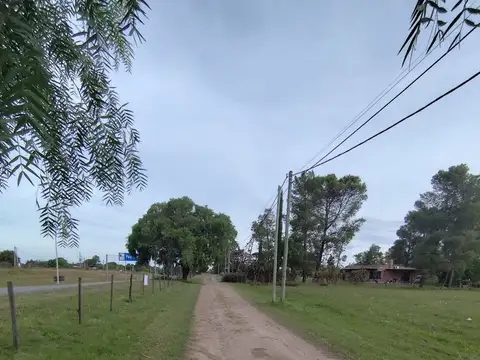 Terreno en Alquiler en Paysandu, $U 40.000