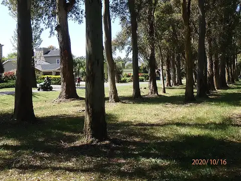 Venta Lote en Country El Paraíso