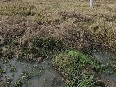 Terreno en Venta de 2000,0 m2