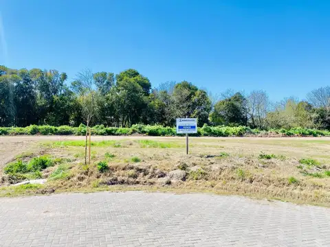 Terreno en Venta 12  mts Frente