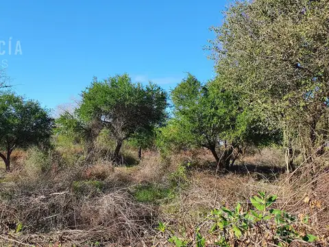 PRIMEROS COLONOS A al 600 MTS DE RUTA 26