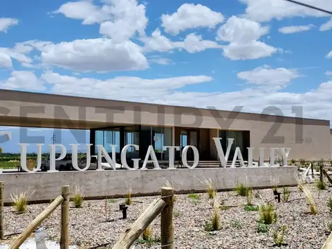 Century 21 López vende Lote en Tupungato Valley