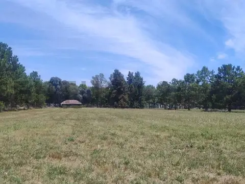 VENTA LOTE 7.755 m² EN CHACRAS DEL NACIONAL, GRAL. RODRIGUEZ