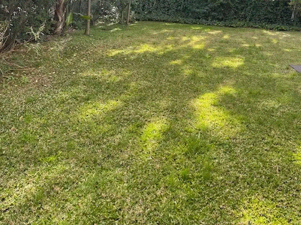 Casa - 244,68  m² Cubierta | 3 dormitorios | 7 años | 2 baños | 2 cocheras | 1 toilette