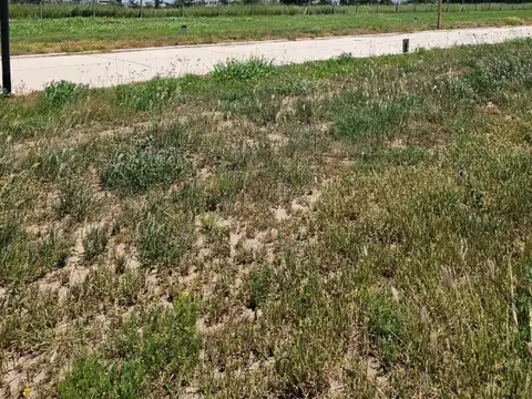 VENTA LOTE 250 m2  ABRAS DE MANANTIALES RESIDENCIAL