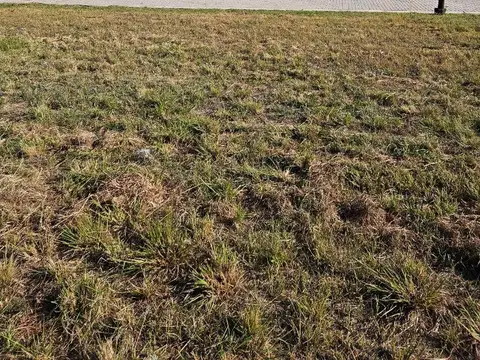Abras De Manantiales