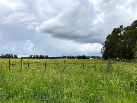 Campo en venta - 32.874Mts2 - Mechongue, General Alvarado