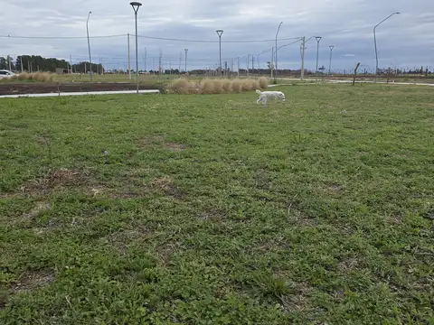 Terreno en Venta de 300,0 m2