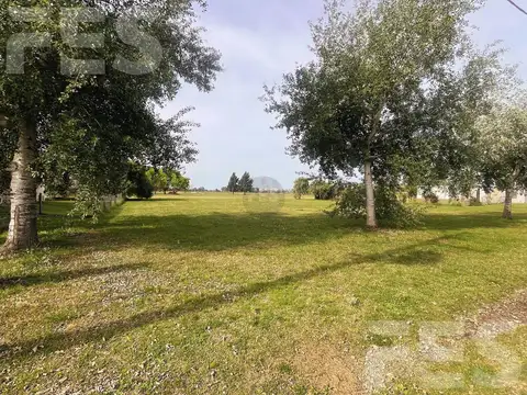 Terreno en Venta en Fincas de San Vicente, USD 32.900