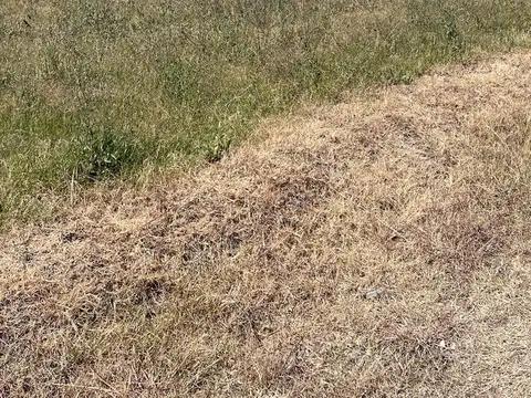 Terreno en Venta en Joaquin Gorina, USD 75.000