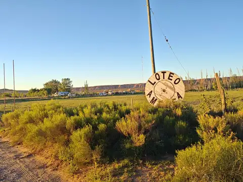 Venta de terreno en Barrio Amedea - Plottier